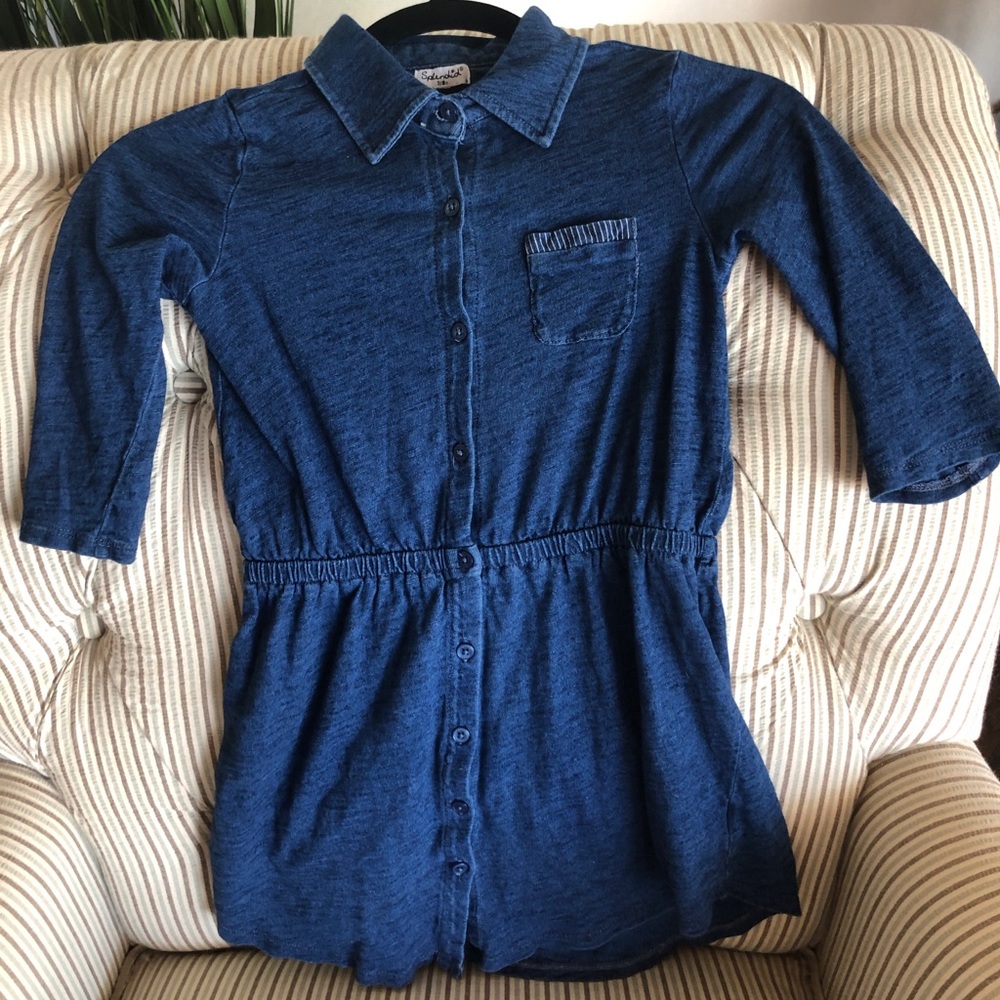 Splendid Shirt Dress